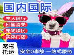 张孝航空托运国际宠物托运 【国